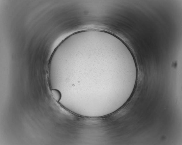 X0000115381486200911241252