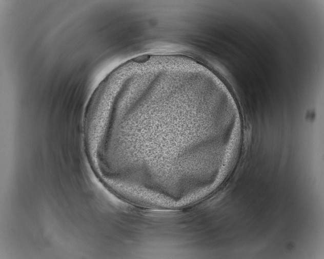 X0000115381487200911241252