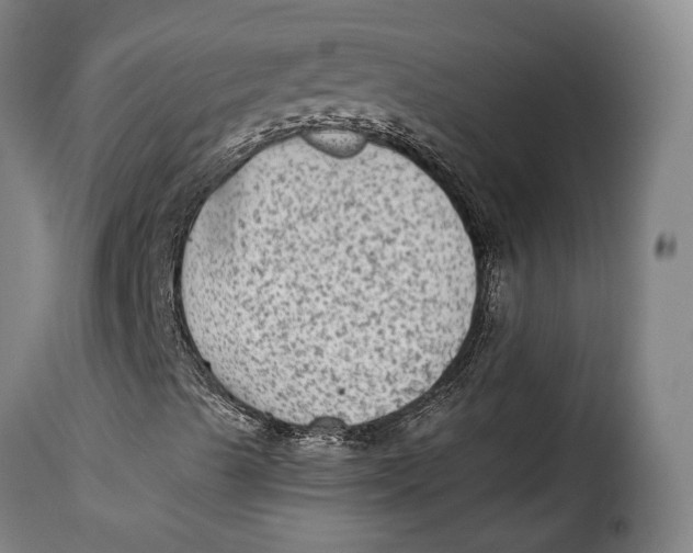 X0000115381489200911241251