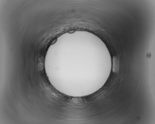 X0000115381491200911241251