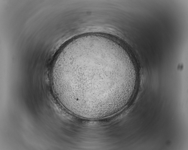 X0000115381497200911241251