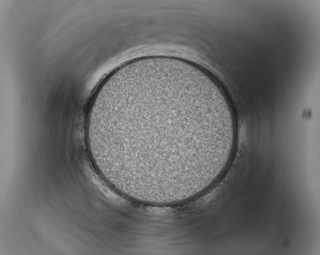 X0000115381498200911241251