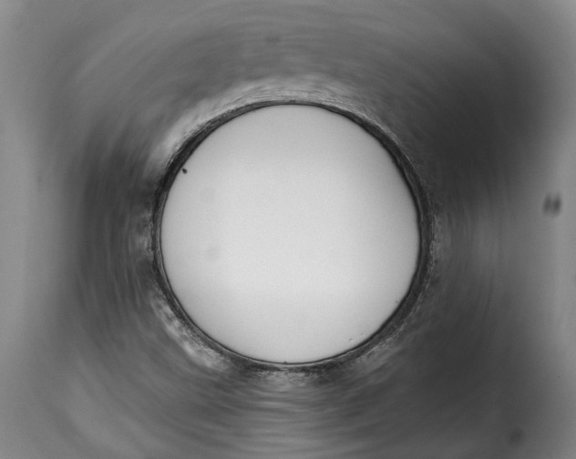 X0000115381499200911241251