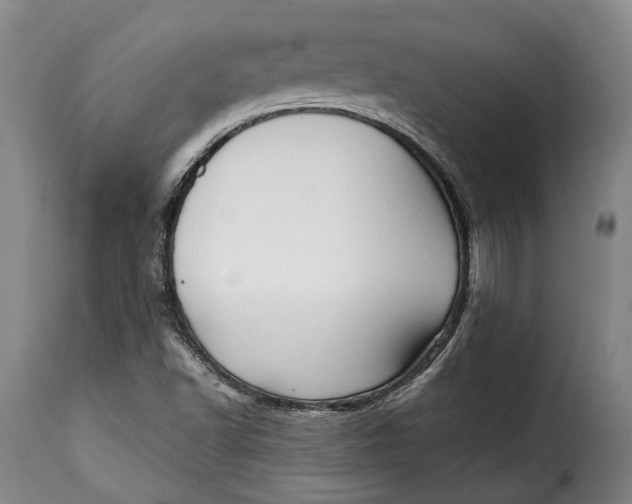 X0000115381502200911241251