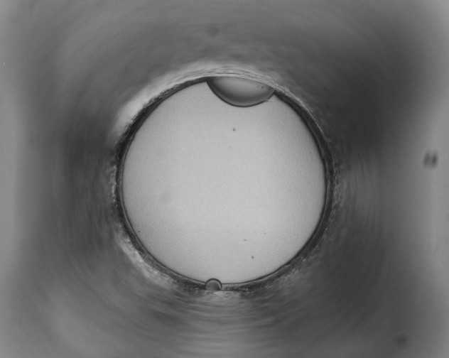 X0000115381503200911241251