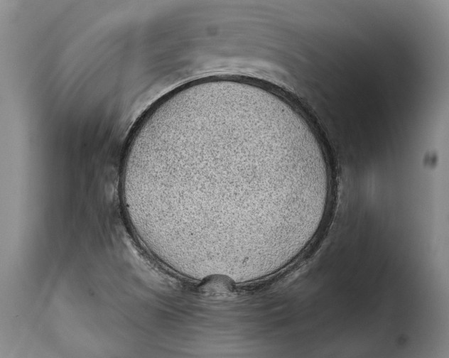 X0000115381505200911241251