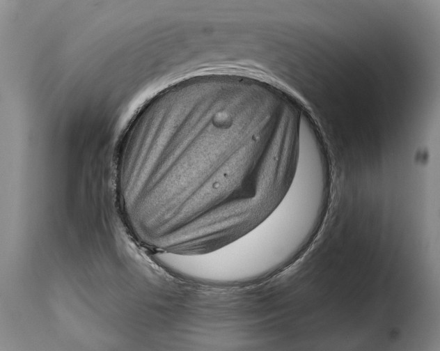 X0000115381506200911241251