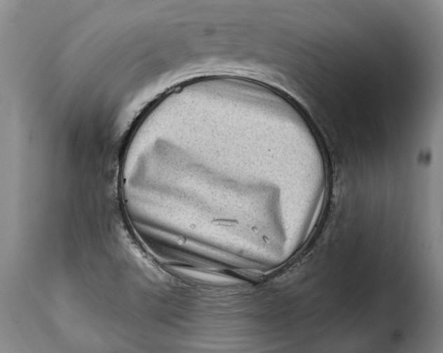 X0000115381507200911241251