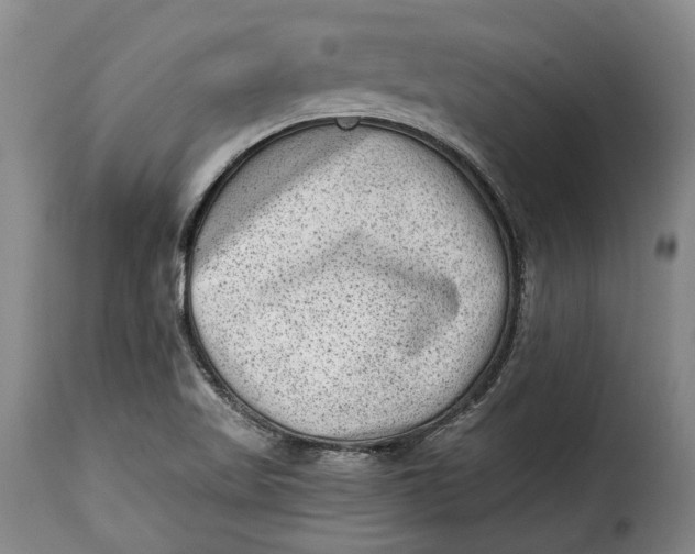 X0000115381509200911241251