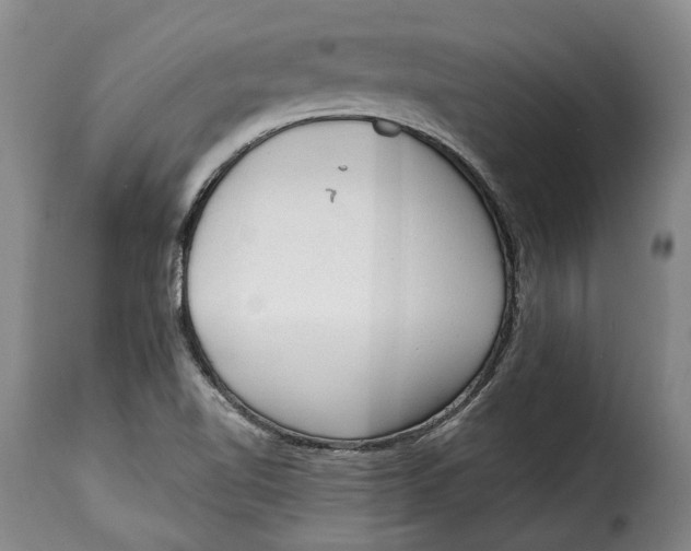 X0000115381510200911241251