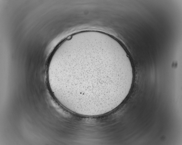 X0000115381511200911241251