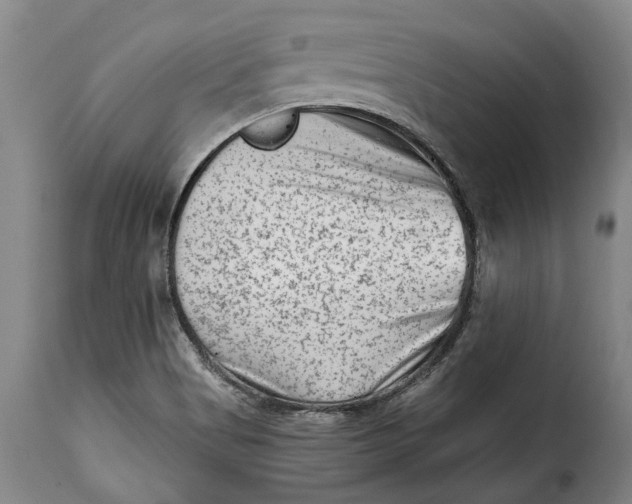 X0000115381513200911241251