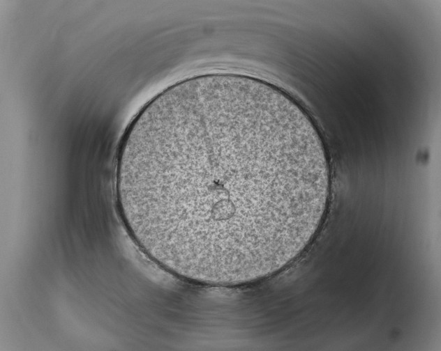 X0000115381514200911241251