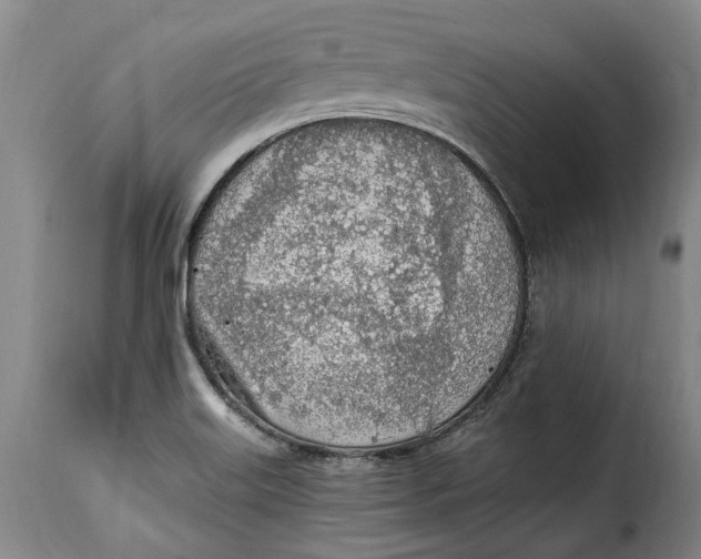 X0000115381515200911241251