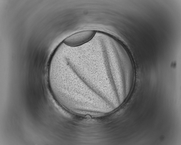 X0000115381517200911241251