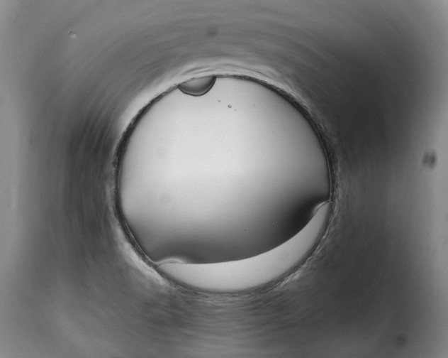 X0000115381518200911241251