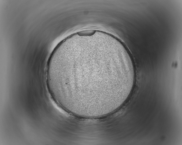 X0000115381519200911241251