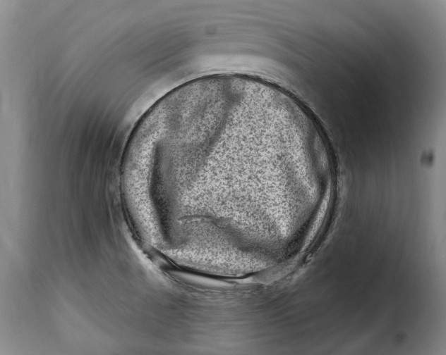 X0000115381521200911241251