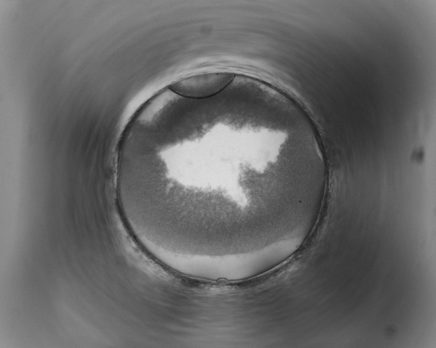 X0000115381522200911241252