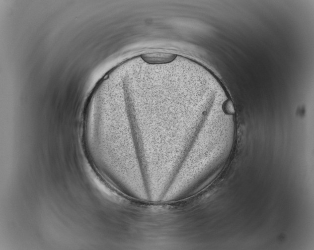 X0000115381523200911241252