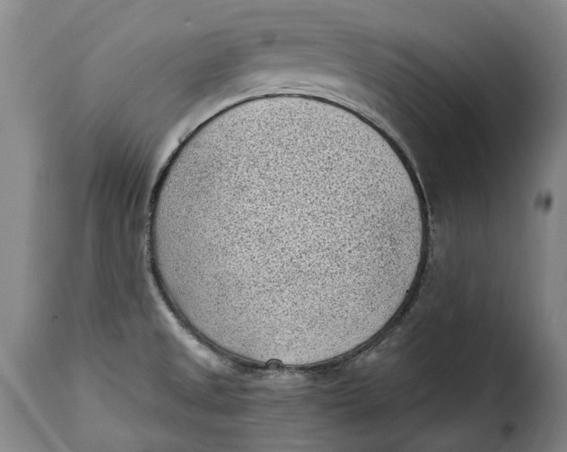 X0000115381525200911241252