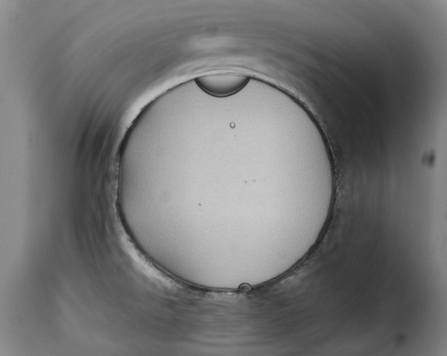 X0000115381526200911241252