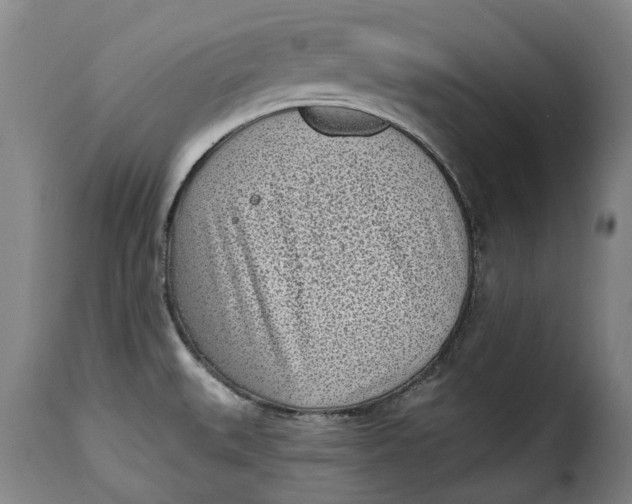 X0000115381527200911241252