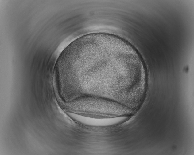 X0000115381529200911241252