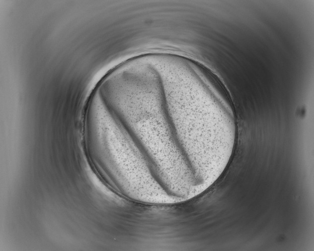 X0000115381531200911241252