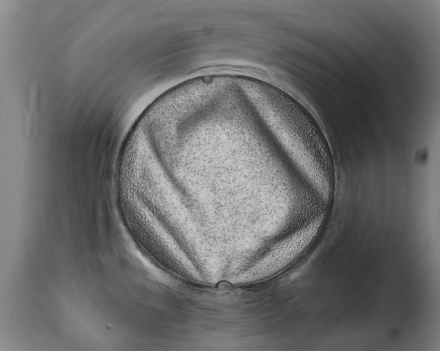 X0000115381533200911241252