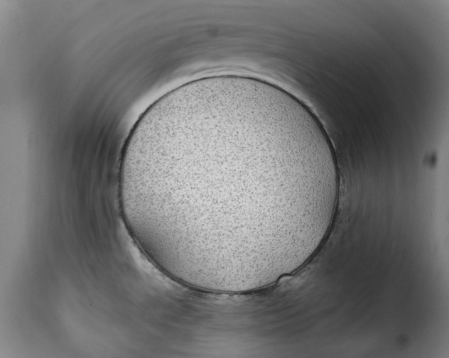 X0000115381534200911241252