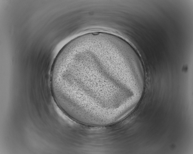 X0000115381535200911241252