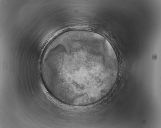 X0000115380002200912011216