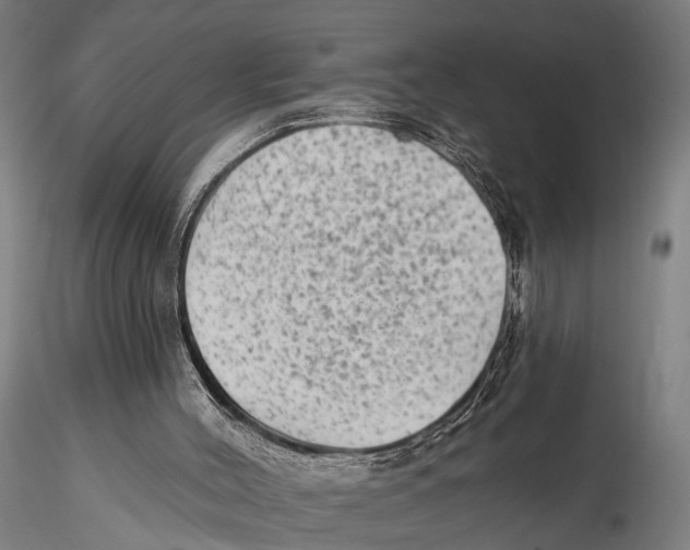 X0000115380004200912011216