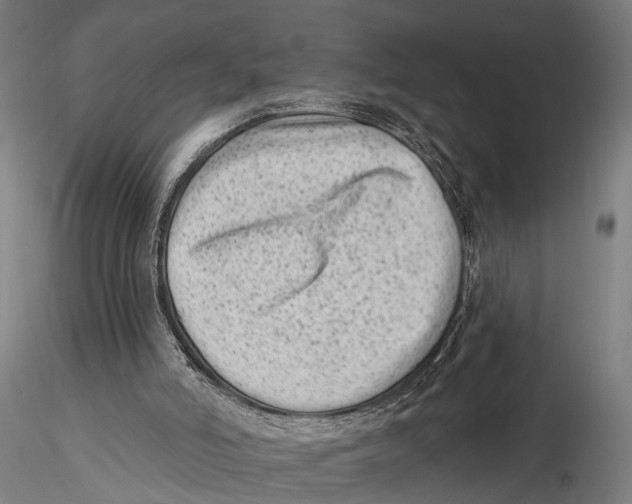 X0000115380006200912011216