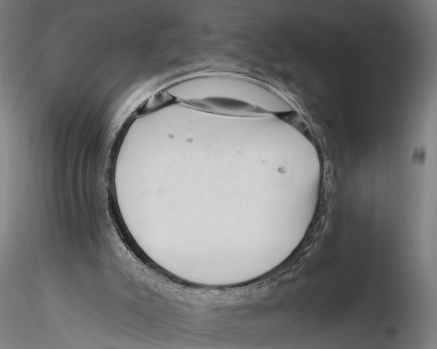 X0000115380007200912011216