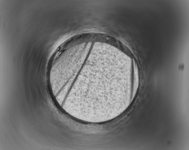 X0000115380008200912011216