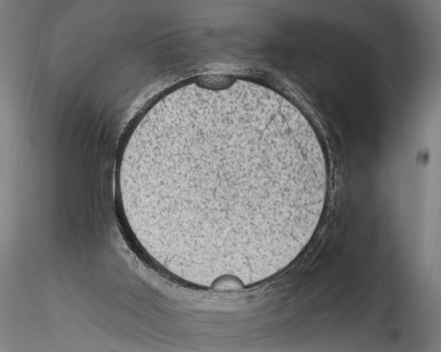 X0000115380011200912011216