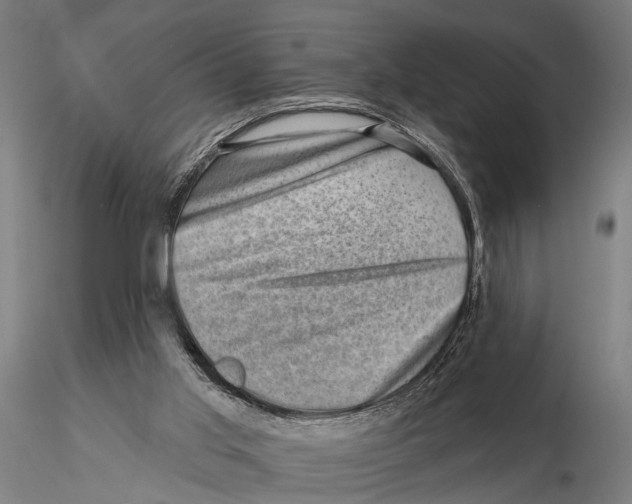 X0000115380013200912011216