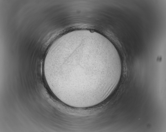 X0000115380014200912011216