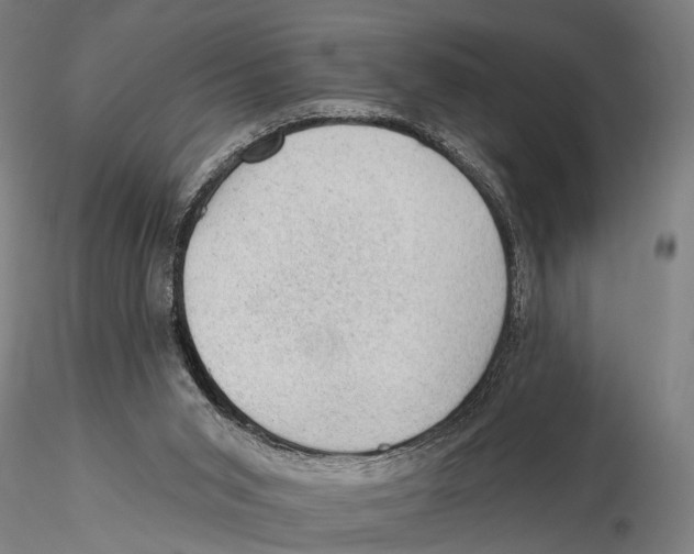 X0000115380015200912011216