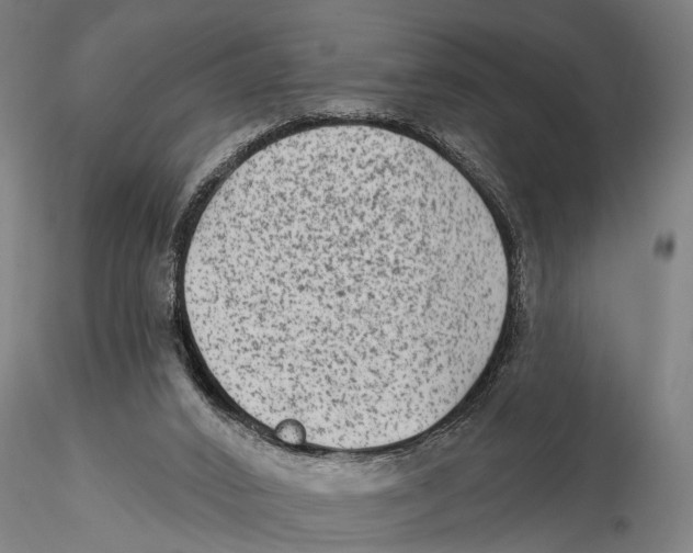 X0000115380016200912011216