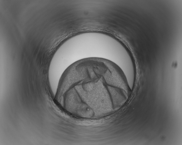 X0000115380017200912011216