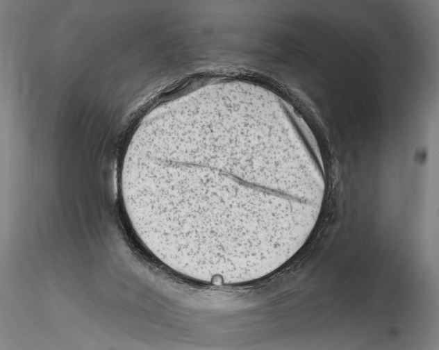 X0000115380020200912011216