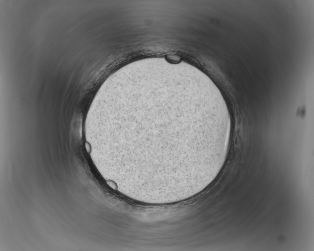 X0000115380021200912011216