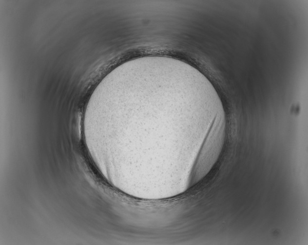 X0000115380022200912011216