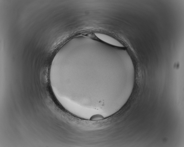 X0000115380023200912011216