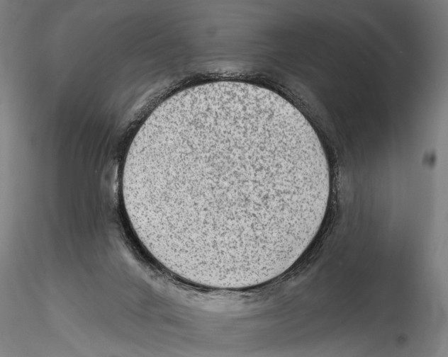 X0000115380024200912011216