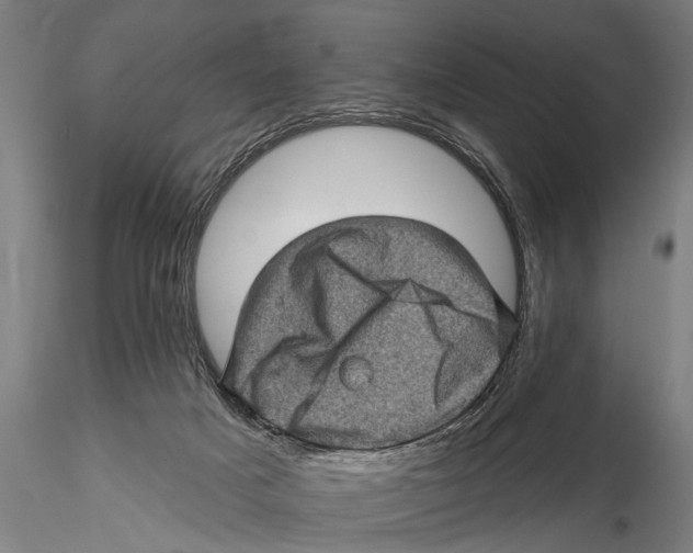 X0000115380025200912011216