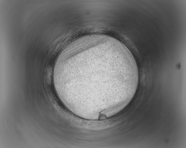 X0000115380026200912011216